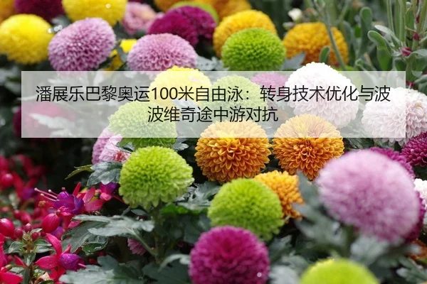 潘展乐巴黎奥运100米自由泳：转身技术优化与波波维奇途中游对抗