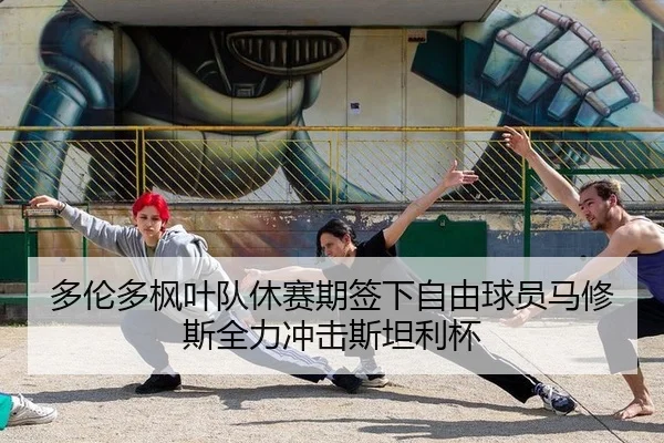 多伦多枫叶队休赛期签下自由球员马修斯全力冲击斯坦利杯