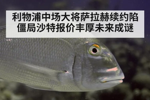 利物浦中场大将萨拉赫续约陷僵局沙特报价丰厚未来成谜