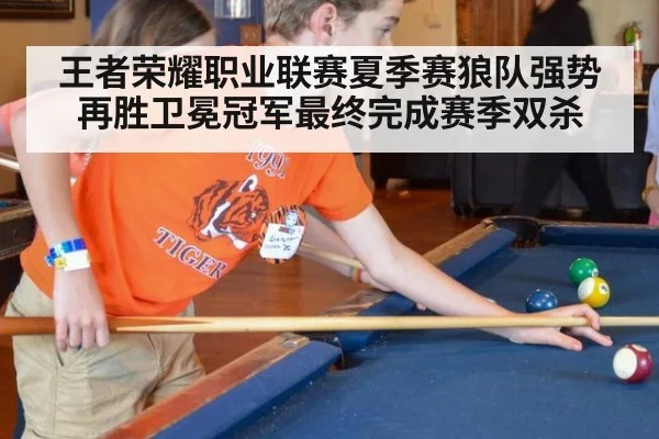 王者荣耀职业联赛夏季赛狼队强势再胜卫冕冠军最终完成赛季双杀